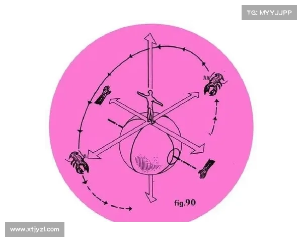 从殖民地视角探讨全球文化演变与交流的历史轨迹与未来展望