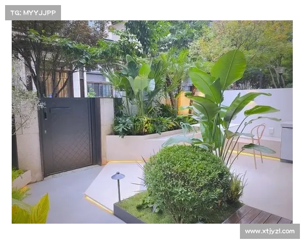 打造宁静庭院心灵栖息地的五个关键步骤助你享受自然与内心的和谐共生 打造宁静庭院心灵栖息地的五个关键步骤助你享受自然与内心的和谐共生