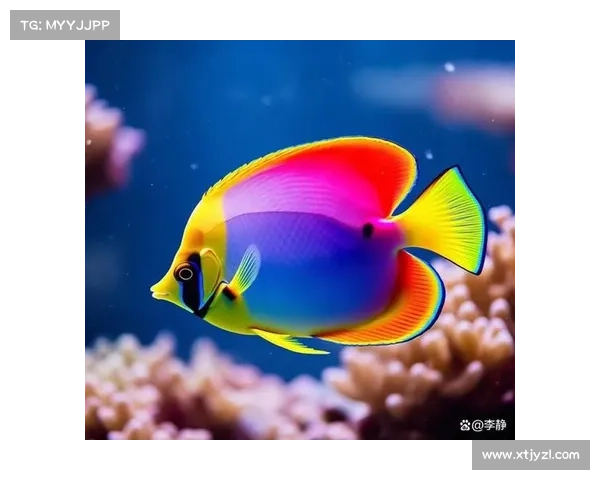 冰鳞蓝鱼的神秘魅力与深海奇迹探索之旅