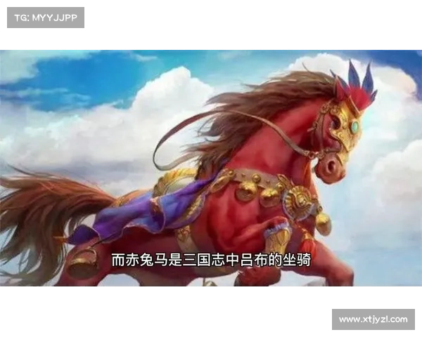梦幻西游中汗血宝马的传奇故事与英雄之路的神话传说