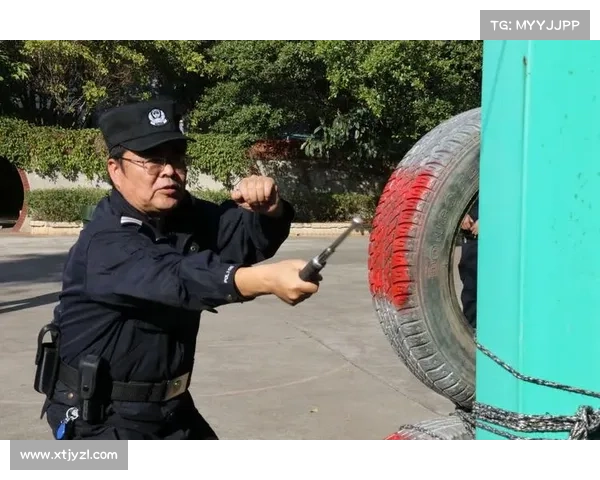 精炼泰拉石获取与使用技巧全面解析与实战指南