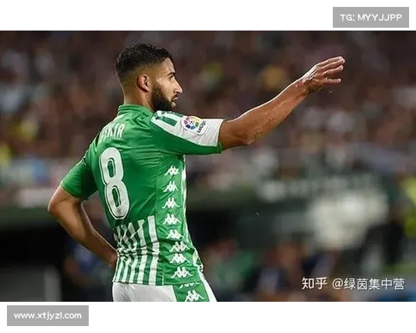 全面解读法甲冠军标志象征意义与设计奥秘的全景式深度权威指南版