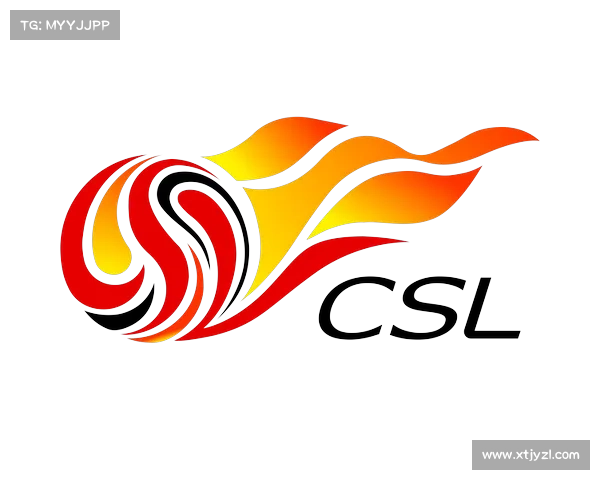 探究为什么足协标志与队徽存在差异的五大关键因素解析 探究为什么足协标志与队徽存在差异的五大关键因素解析